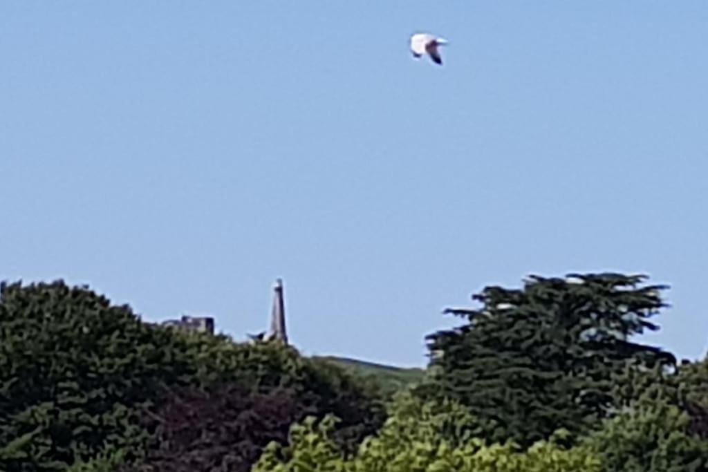 Luxurious With View Of Carn Brea Apartment *